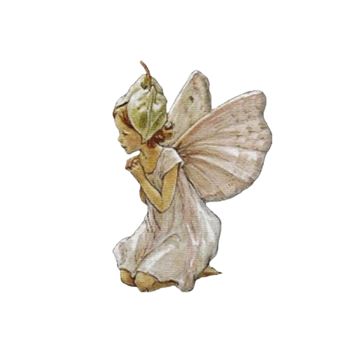 Fairy